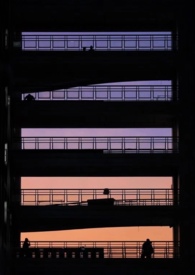 豪门女配就要为所欲为